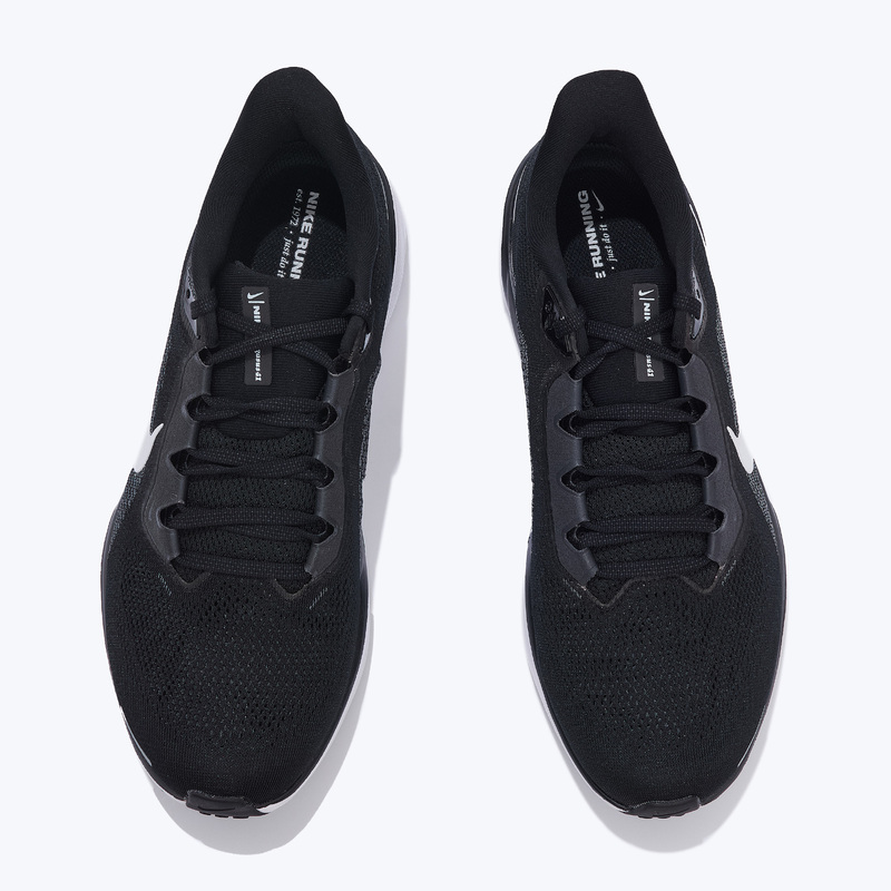 Кроссовки Nike Pegasus 41 FD2722-002