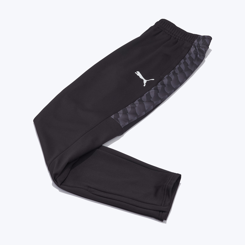 Брюки тренировочные Puma Teamliga26 65973303