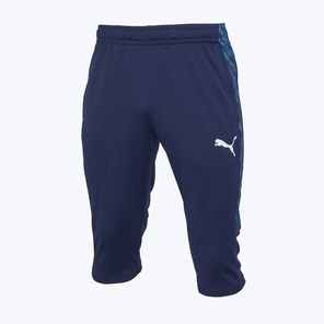 Бриджи Puma Teamliga26 65973606