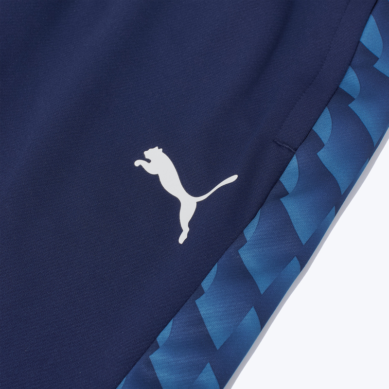 Бриджи Puma Teamliga26 65973606
