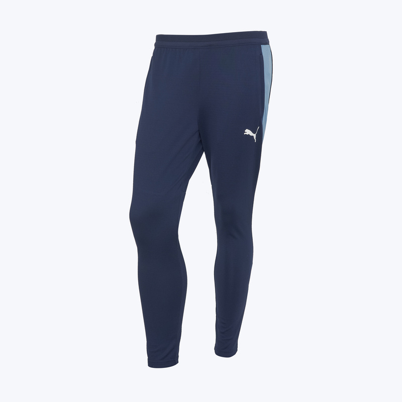 Брюки тренировочные Puma Individualfinal 66101410