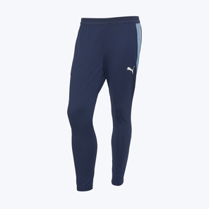 Брюки тренировочные Puma Individualfinal 66101410