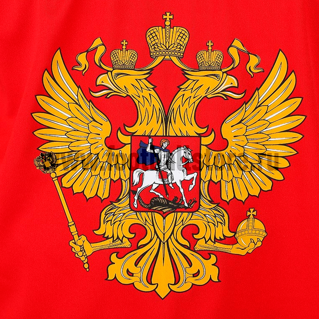 Свитер хоккейный Nike IIHF FAN JSY 1.3 Russia 575588-657