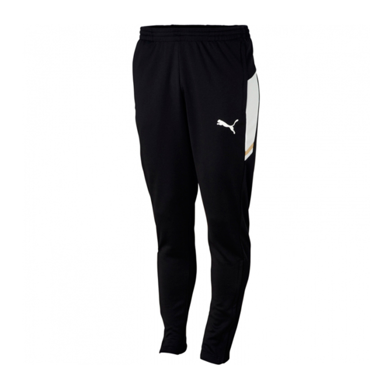 Брюки тренировочные Puma Esito Traning Pants