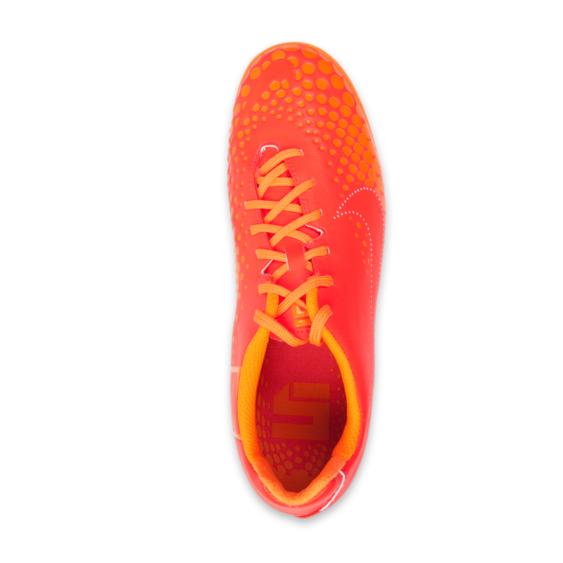 Обувь для зала Nike 5 Elastico Finale 415120-668