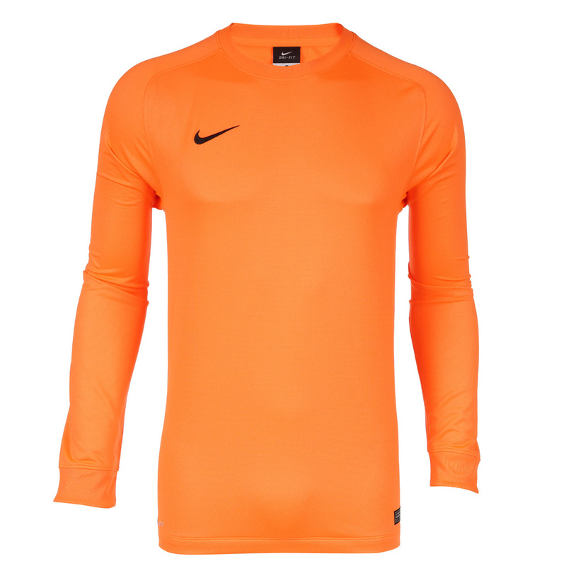 Свитер вратарский Nike LS Park Goalie II JSY 588418-803