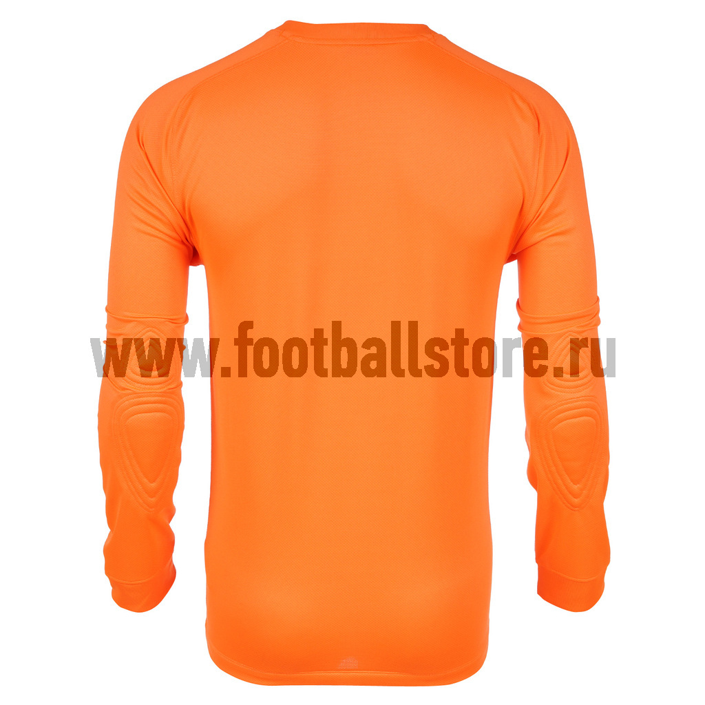 Свитер вратарский Nike LS Park Goalie II JSY 588418-803