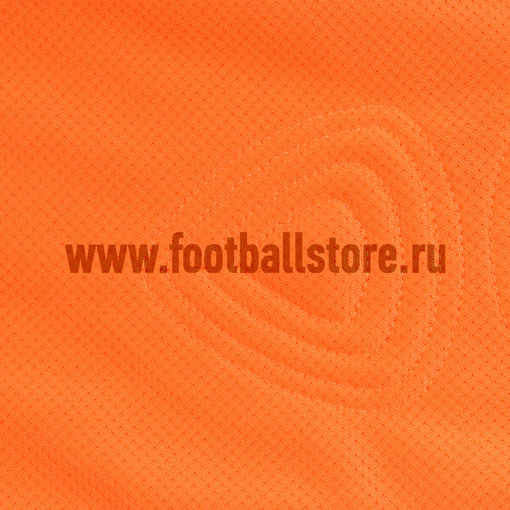 Свитер вратарский Nike LS Park Goalie II JSY 588418-803