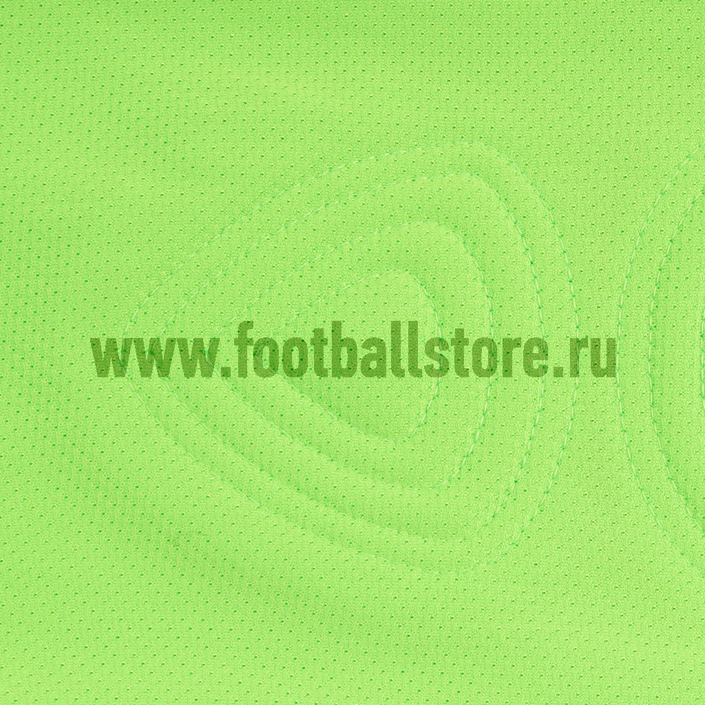 Свитер вратарский Nike LS Park Goalie II 588418-303