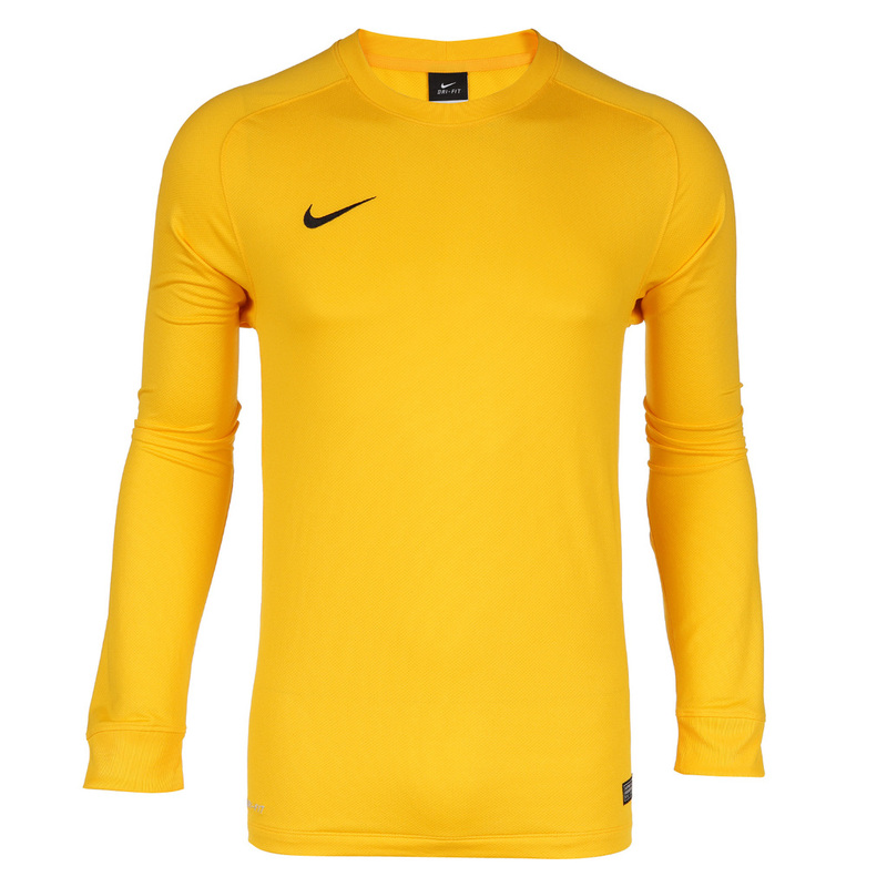 Свитер вратарский Nike Park Goalie II JSY 588418-739