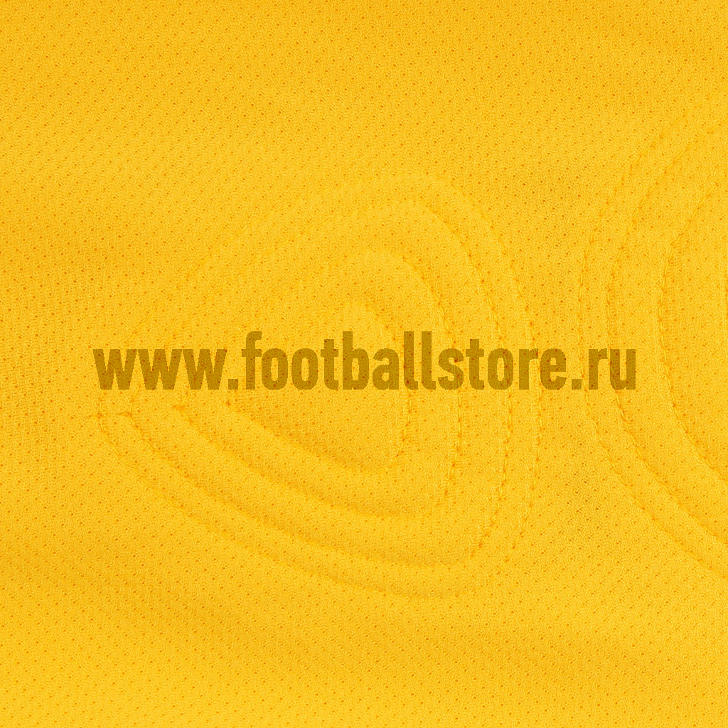 Свитер вратарский Nike Park Goalie II JSY 588418-739