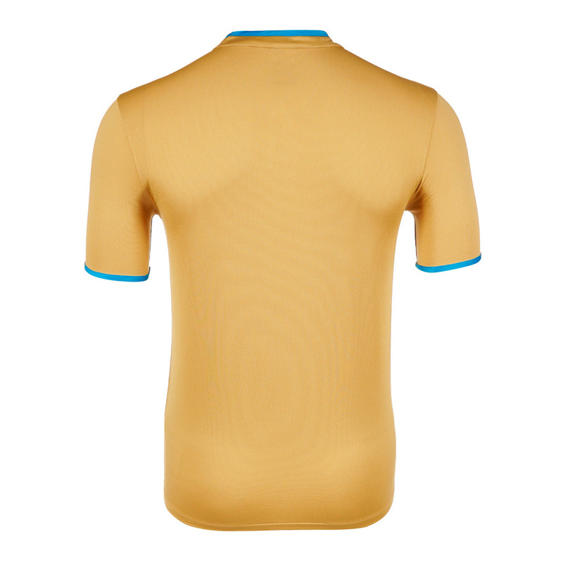 Футболка игровая Nike Зенит-Чемпион 14/15 520464-704