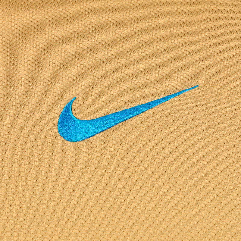 Футболка игровая Nike Зенит-Чемпион 14/15 520464-704