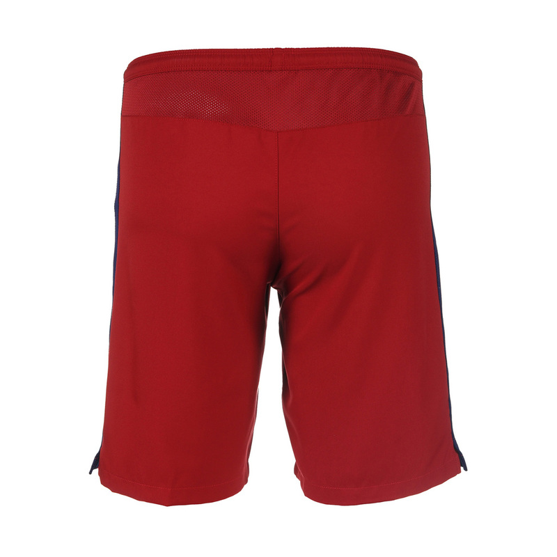Шорты Nike FC Barcelona HA GK Stadium Short 658786-618