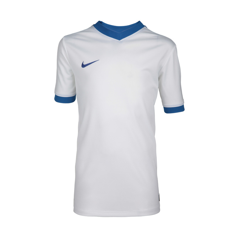 Футболка игровая подростковая Nike Striker IV JSY 725974-100