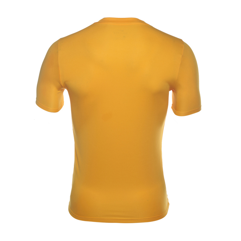 Футболка Nike Park VI JSY 725891-739 