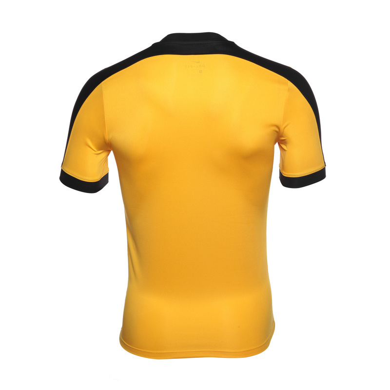 Футболка Nike SS Striker IV JSY 725892-739