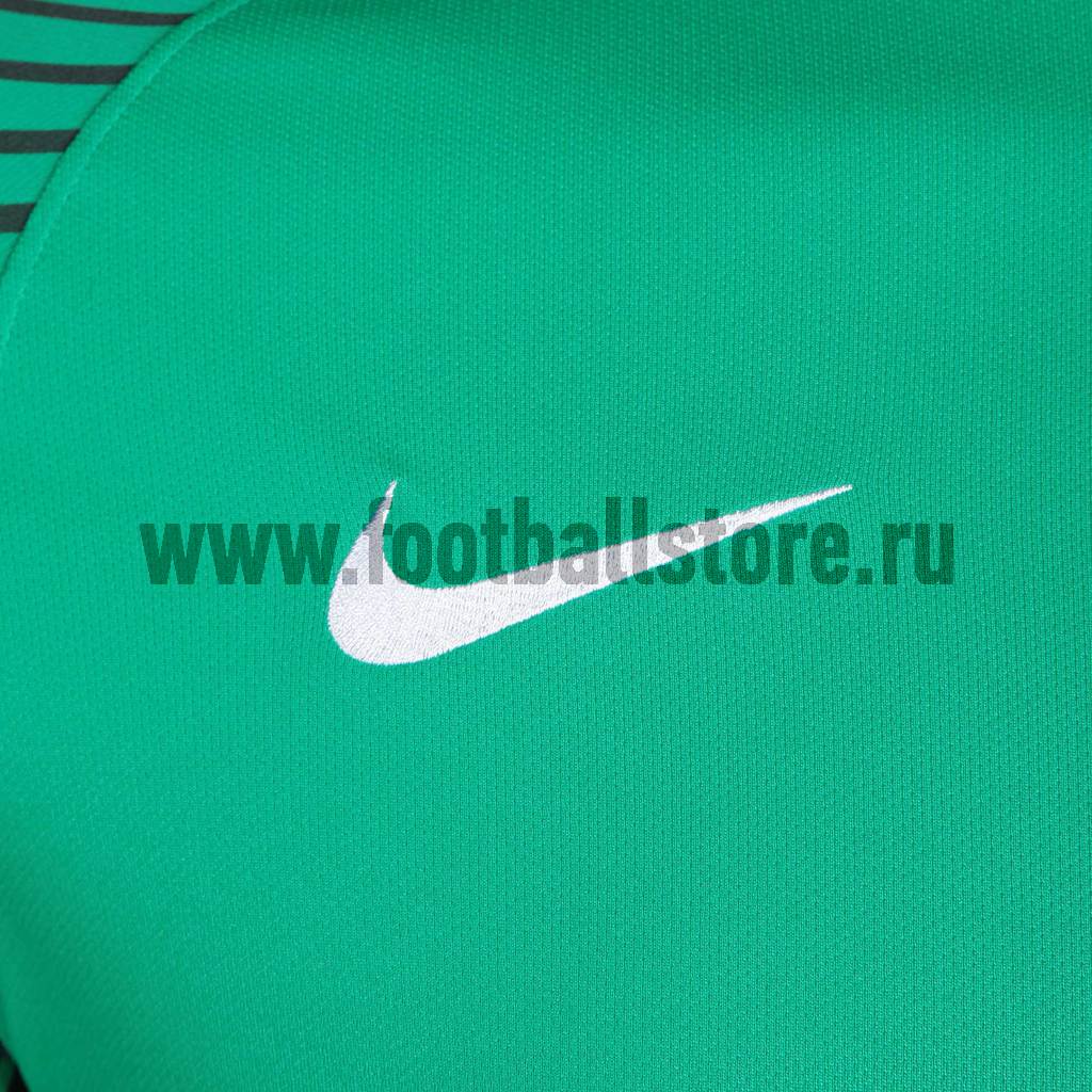 Вратарская футболка Nike SS Garden JSY 725889-319