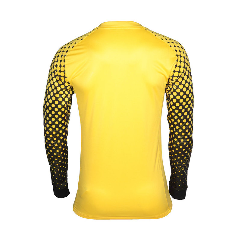 Свитер вратарский Nike Park III Goalie Jersey 361122-703